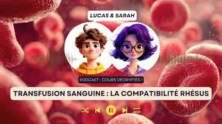 Miniature : Comprendre le système Rhésus (antigènes, RAI, transfusion)