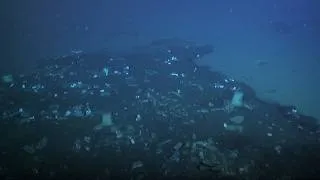 Miniature : 🚯 Pollution plastique en Méditerranée, quelles solutions ?