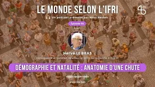 Miniature : Démographie et natalité : anatomie d'une chute