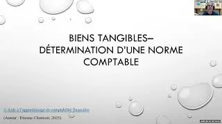 Miniature : Normes comptables Biens tangibles