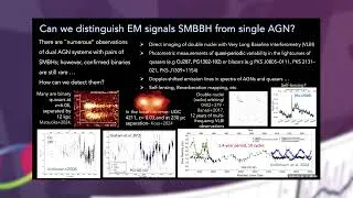 Miniature : Manuela Campanelli - GRMHD Simulations of Spinning Supermassive Black Hole Binaries
