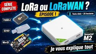 Miniature : LoRa ou LoRaWAN ? Je construis un vrai réseau privé de A à Z