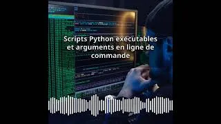 Miniature : Scripts Python exécutables et arguments en ligne de commande | Expert CyberSecurité & DevSecOps...