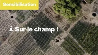 Miniature : Sur le champ ! - Des paysannes et paysans qui nourrissent la terre