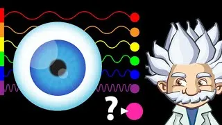 Miniature : Comment voit-on les couleurs ? (alors qu'elles n'existent pas...)