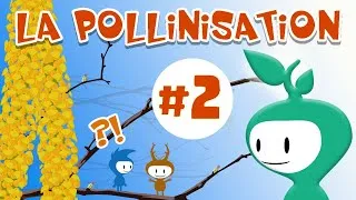 Miniature : La pollinisation: explication 2/2