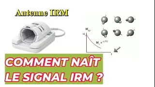 Miniature : IRM : Excitation RF et Résonance Magnétique | Origine du Signal IRM