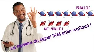Miniature : IRM : comprendre le signal IRM | Explication du fonctionnement de l’IRM