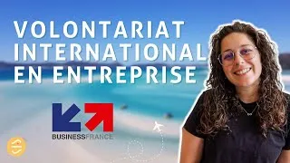 Miniature : Volontariat International en Entreprise (V.I.E) | CONDITIONS & PROCESS je vous dis TOUT (+ conseils)
