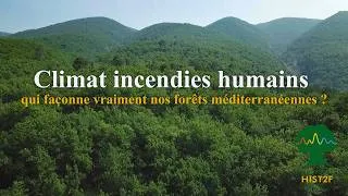 Miniature : Climat, incendies, humains : qui façonne vraiment nos forêts méditerranéennes ?