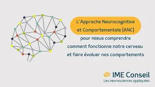 Miniature : L'Approche Neurocognitive et Comportementale décode notre #cerveau et fait évoluer nos comportements