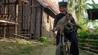 Miniature : The Minang People: The secret life of the Sky Harvesters