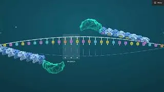 Miniature : P13M3 - RNA and gene editing : strategies based on non-viral vectors