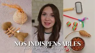 Miniature : Nos indispensables pour le bien-être de nos chats 🐾
