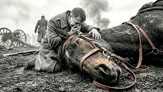 Miniature : Pourquoi la Guerre Dépendait Davantage des “ANIMAUX” que des “ARMES”