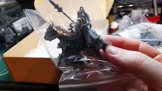 Miniature : Unboxing de ma première commande d'elfes chez Proxywars.