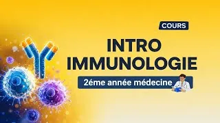 Miniature : Tu es en 2ème année médecine ? Voici l’introduction à l’immunologie qu’il te faut