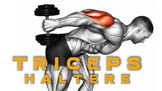 Miniature : L'ÉXPLOSION DES TRICEPS : 5 Exercices Incontournables pour des Bras Énormes ! (Massifs & Dessinés)