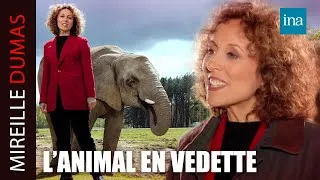 Miniature : Quand les animaux font leur star chez Mireille Dumas | INA Mireille Dumas