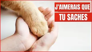 Miniature : 18 choses que votre Chat veut que vous sachiez