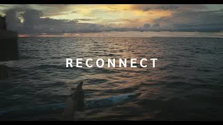 Miniature : Reconnect: How Thomas Despin Left Everything to Live on a Remote Island (Sous-titres français)