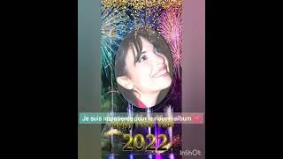 Miniature : happy news year 2022🎇🧨🎉🎊