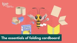 Miniature : FOLDING CARTON 🧃Discover the essentials