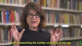 Miniature : Population Pyramid,  Emmanuelle Cambois  (INED)