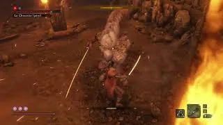 Miniature : No hit de la chouette V2 ng +1
