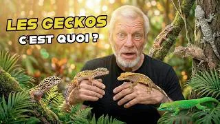 Miniature : C'EST QUOI UN GECKO ?