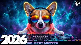 Miniature : EDM Bass Boosted Music Mix 2026 🎧EDM Remixes of Popular Songs 🎧 EDM Music Mix 2026