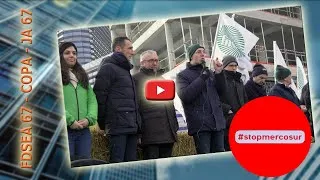 Miniature : AGRICULTURE / Stop au Mercosur