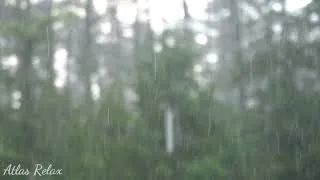 Miniature : 20 Minute of GENTLE NIGHT RAIN, Sounds to Sleep, Study, Relaxing, Insomnia, Reduce stress, Tinnitus