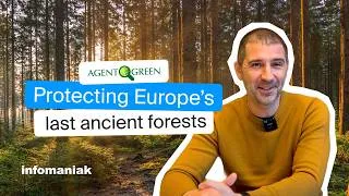 Miniature : Protecting Europe’s last ancient forests | Agent Green x Infomaniak