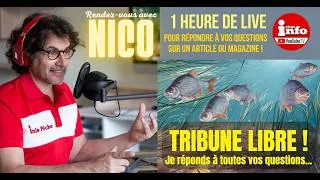 Miniature : Pêche au coup et feeder : vos questions, mes réponses !