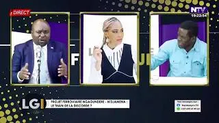 Miniature : Sous région Afrique Centrale : qu'est-ce qui empêche que nos pays soient reliés ? @Neotempratv