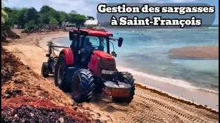 Miniature : La gestion des SARGASSES à Saint-François - Le 24/08/2026.