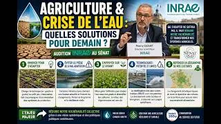 Miniature : Agriculture & Crise de l'Eau : Quelles solutions pour demain ? (Audition INRAE) 🚜💧