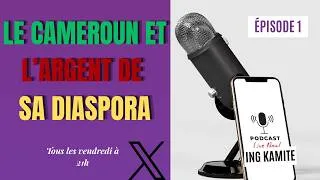 Miniature : Mobiliser l'argent de la diaspora camerounaise : projet sérieux ou nouvelle arnaque d'État ?