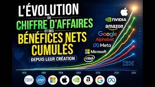 Miniature : Les géants américains du numérique : l'incroyable renversement des hiérarchies