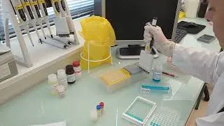 Miniature : Tutoriel IDvet : Comment réaliser un test ELISA (protocole spécifique aux tests aviaires)