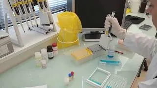 Miniature : IDvet tutorial: How to perform an ELISA test (protocol for poultry testing)