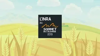 Miniature : L'Inra au Sommet de l'élevage JT#2