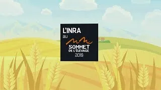 Miniature : L’Inra au Sommet de l’élevage JT #1