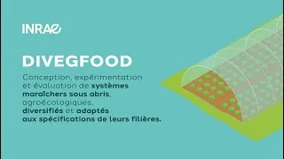 Miniature : DiverIMPACTS – Expérimentation ‘DIVEGFOOD’ Maraîchage sous abri (INRAE, France) – Introduction