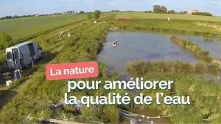 Miniature : Des Solutions fondées sur la Nature pour améliorer la qualité de l’eau