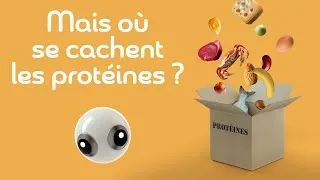 Miniature : 🌱🍗 Les protéines animales et végétales, c’est la même la chose ?