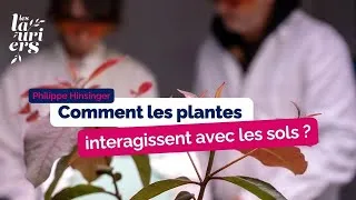 Miniature : Comment les plantes interagissent avec les sols ?