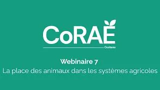 Miniature : CoRAE - Webinaire 7 - La place des animaux dans les systèmes agricoles