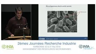 Miniature : Session 1 Trably E., INRA
